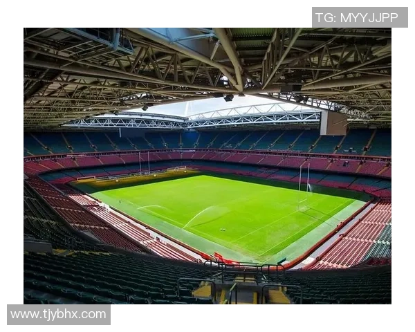 法国足球明星内的辉煌历程与成就解析,带你走进绿茵场上的传奇故事